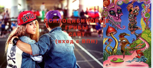 не бодяженный Пересвет