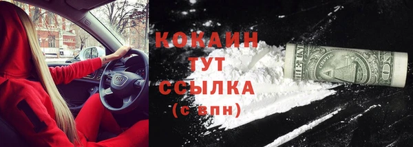 не бодяженный Пересвет