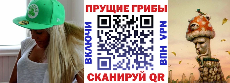 где продают наркотики  Магнитогорск  Псилоцибиновые грибы мухоморы 